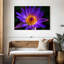 Harnek Hawaiian Water Lily-107671191