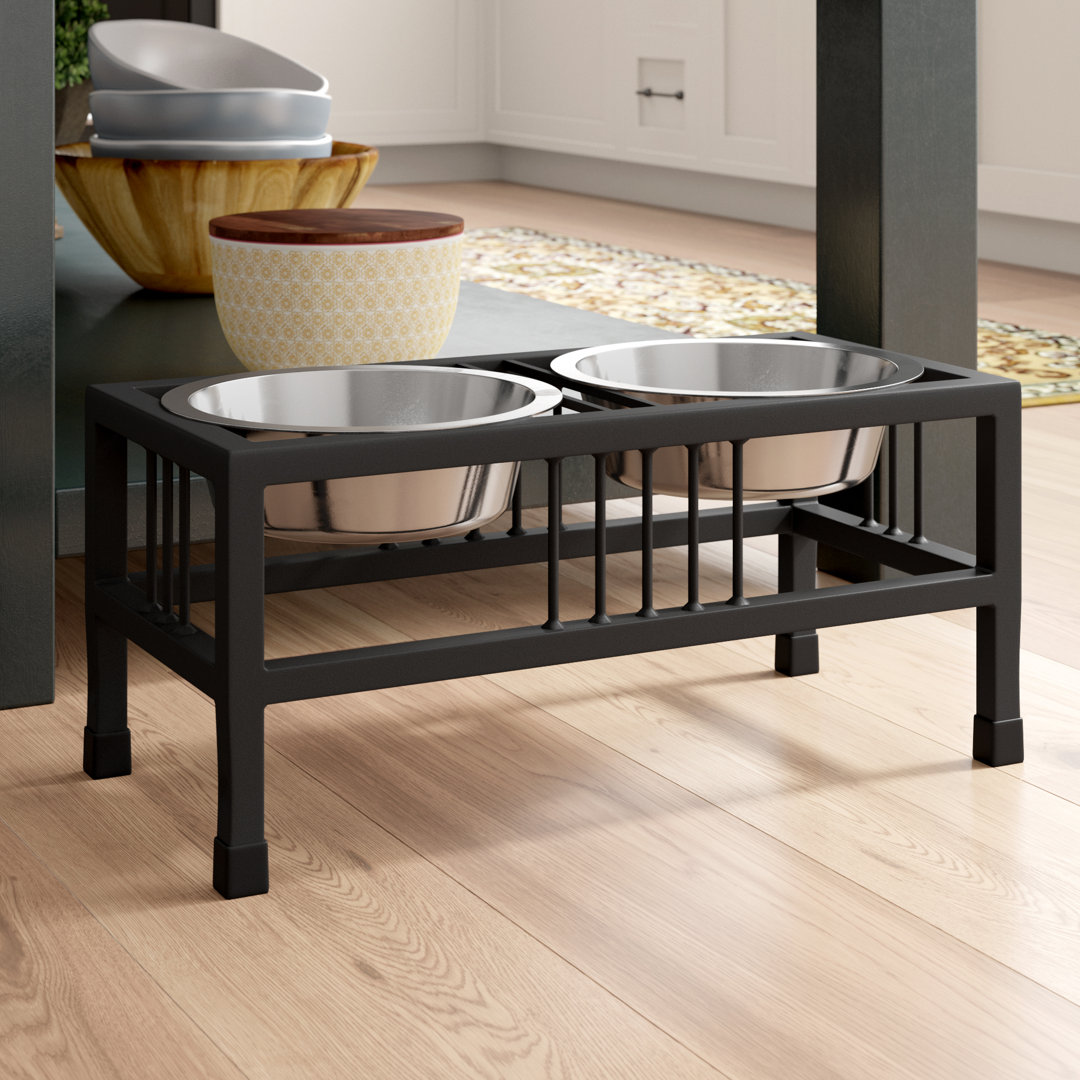 Hanshaw Steel Double Elevated Feeder Archie & Oscar™ Color: Black Capacity: X-Large (3 qt.)