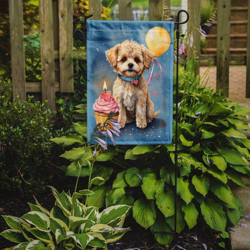 Drapeau de jardin «Happy Birthday», Maltipoo