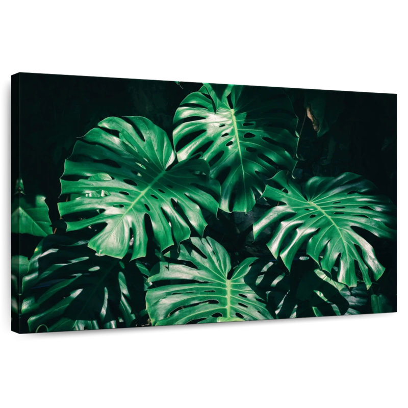 Harnek Lush Tropical