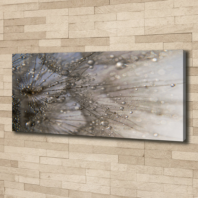 Dandelion Seeds - Wrapped Canvas Print
