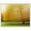 Spring Lingerie by Laura Zimmerman - Framed Wall Art-1670266238-1670266233