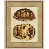 Neutral Turtle 2 Painting