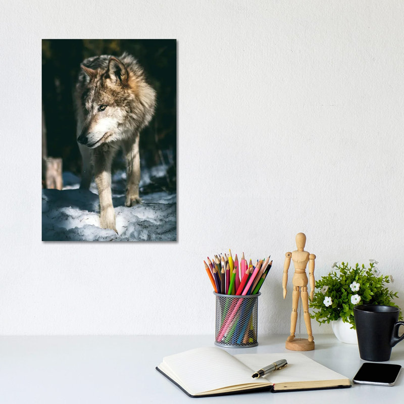 Wolf Looking by Nikita Abakumov - Wrapped Canvas Print