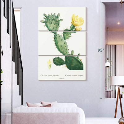 Harnek, aloès, Opuntia Polyanthos, image de l'histoire des plantes grasses