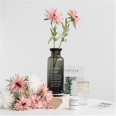 Tige de fleur de chrysanthème