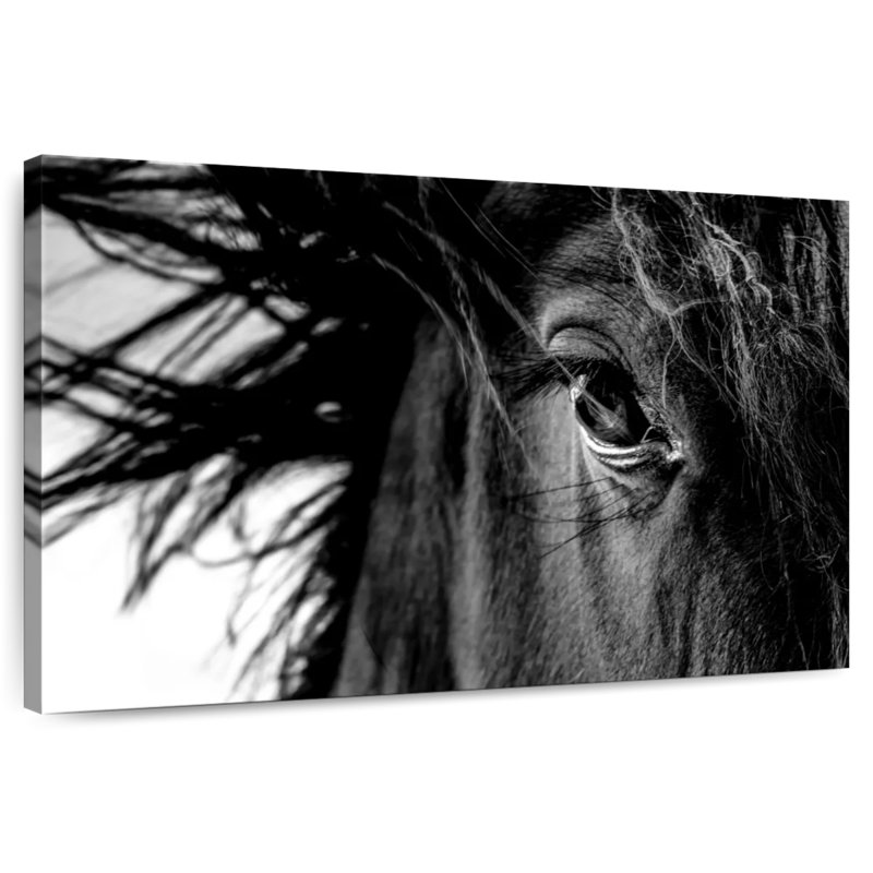 Brampt Horse Up Close, 16" H x 24" W