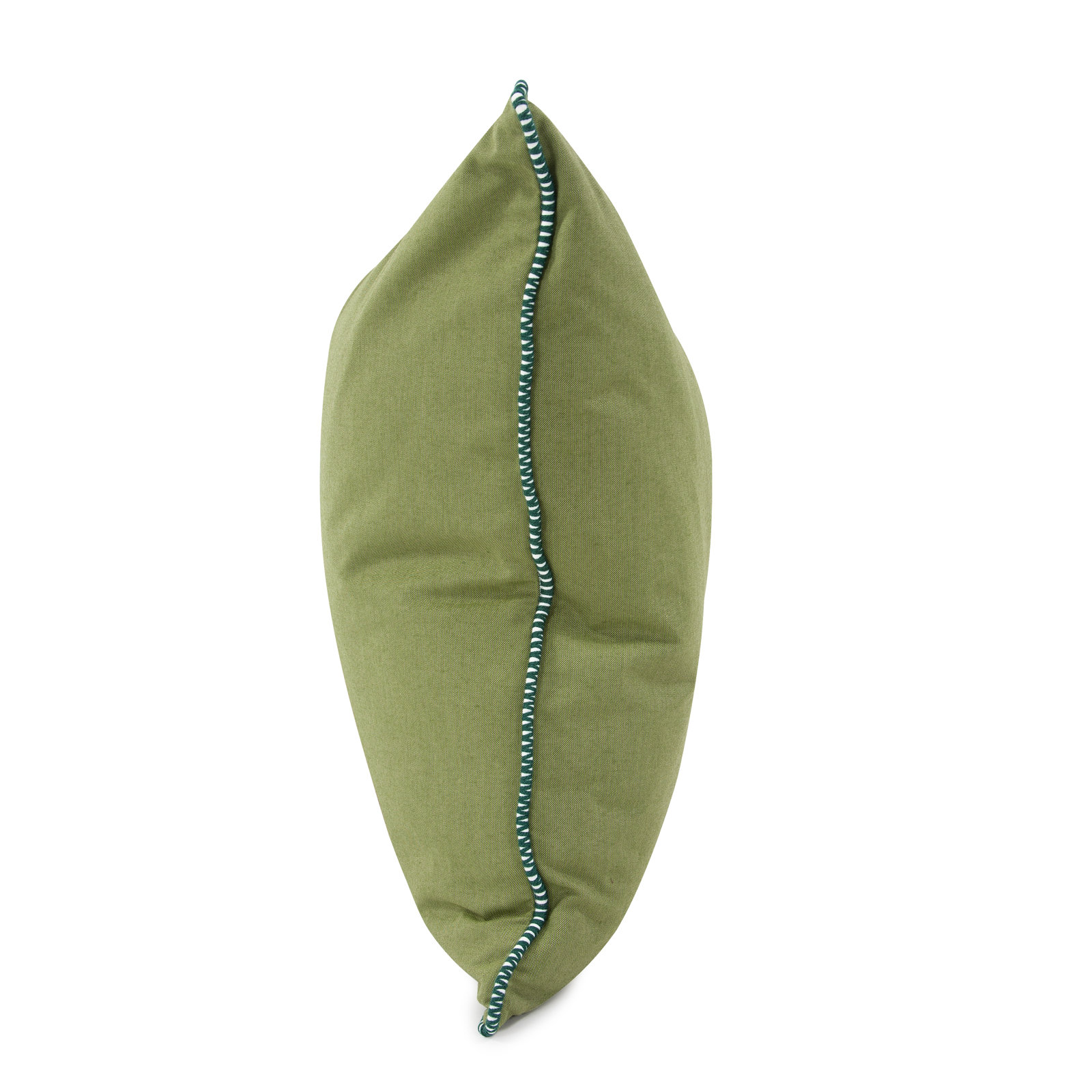 Delijah Sunbrella® Indoor/Outdoor Throw Pillow, Seascape Moss, 24" x 24"