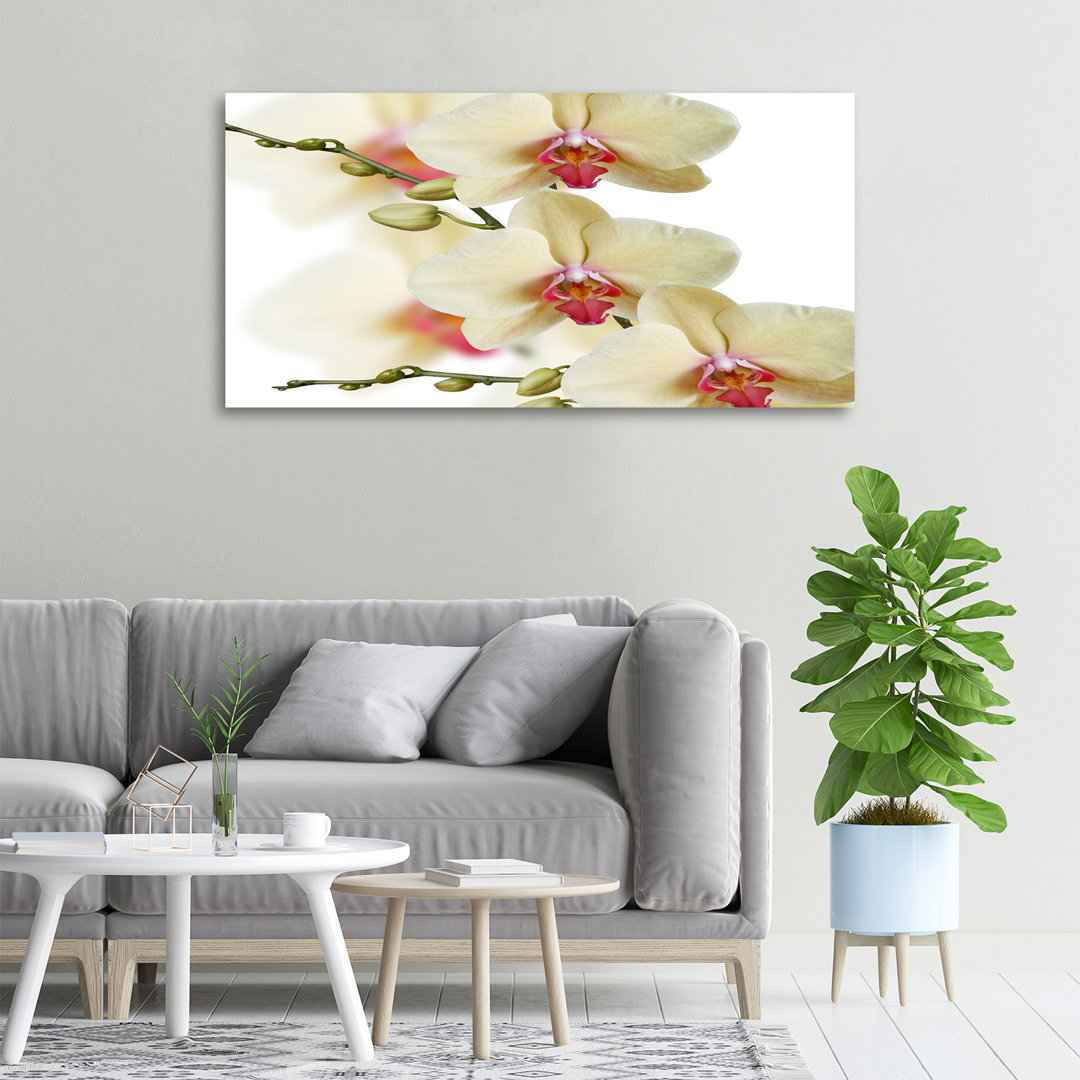 Orchidee - Kunstdrucke auf Leinwand - Wrapped Canvas