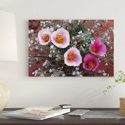 Sego Lily Group, State Flower of Utah with Bulbous Edible Root, Canyonlands National Park, Utah par Tim Fitzharris - reproduction sur toile