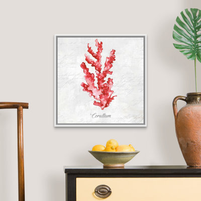 " Red Sea Coral " by Eva Watts