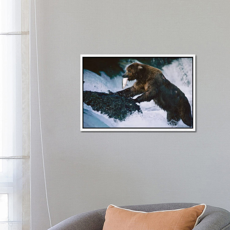 A Grizzly Bear Fishes For Salmon At Brooks Falls In Alaska‚ Katmai National Park 1 Piece Wall Art on Canvas