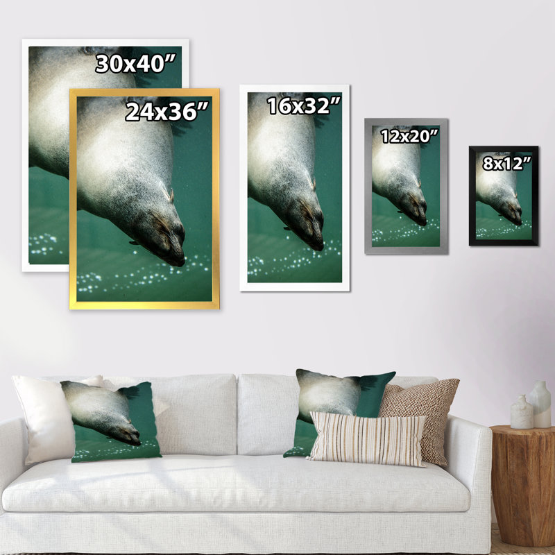 «Seal in Water», reproduction sur toile encadrée, Cadre photo noir, H 20 po x l 12 po x P 1 po