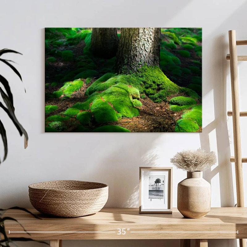 Harnek Forest Moss