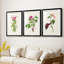 «Pretty Pink Botanicals IV», reproduction encadrée sur mesure de qualité supérieure - 3 pièces-1577315009-1577315008