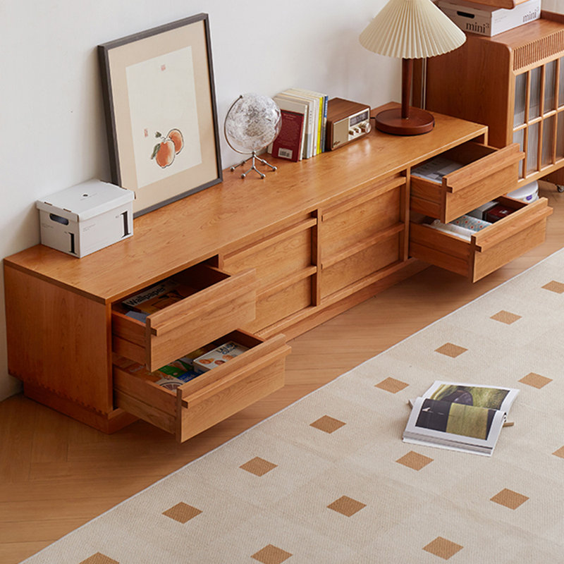 Modern simple large capacity TV cabinet