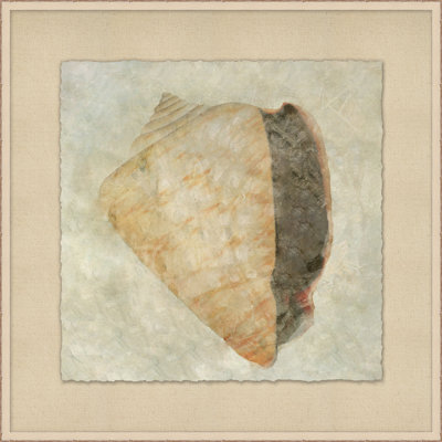 Watercolor Shell 4 Painting