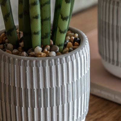 Small Succulents Ceramic Pots