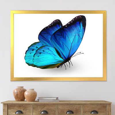 " Vibrant Blue Butterfly "