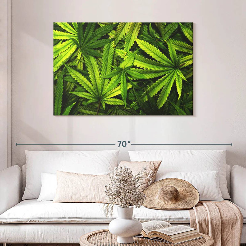 Jardin de feuilles de marijuana, H 30 po x l 45 po