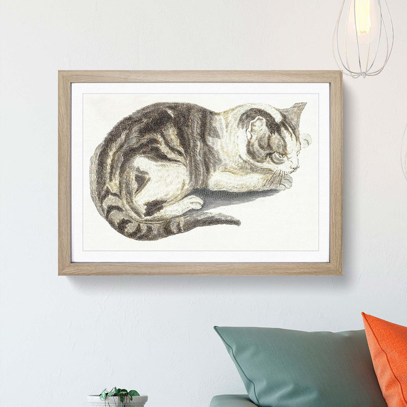 Cat by Johan Teyler - Framed Print, 36cm H x 48cm W x 2cm D, Oak Framed