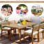Repas d'extérieur chic en bois avec rembourrage et apparence attrayante pour les chaises de patio, de balcon et de mobilier de jardin