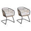Wicker Dining Chair-SET OF 2