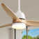   Kemp 56" 3-Solid Wood Blade Propeller Ceiling Fan with Remote Control and LED Light Kit