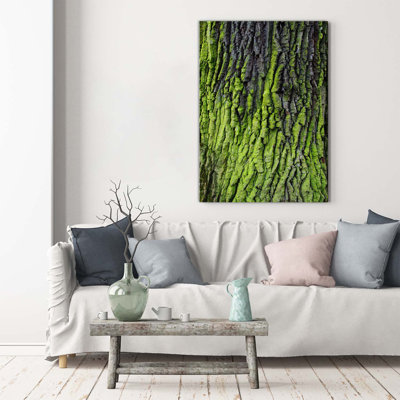 Tree Bark - Wrapped Canvas Print