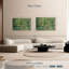 Alvord, arbres et sous-bois-107500349