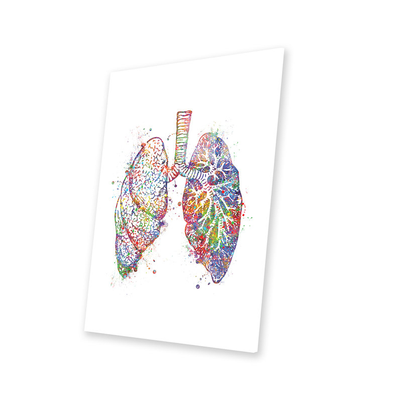 Lungs - Unframed Graphic Art, 24" H x 16" W x 0.25" D
