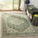 Danya Oriental Green/Cream Indoor/Outdoor Area Rug