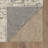 Castor Cream Ornamental Medallion Area Rug-500491872
