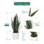 Plante artificielle serpent 31 po