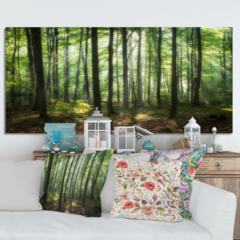 «Sunny Morning Magic Forest IV» - photographie sur toile, H 24 po x l 36 po x P 1 po, Toile tendue