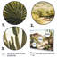 Arizona Desert V - art mural occidental-154090811-154090815