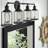 Leyden 4 - Light Dimmable Vanity Light