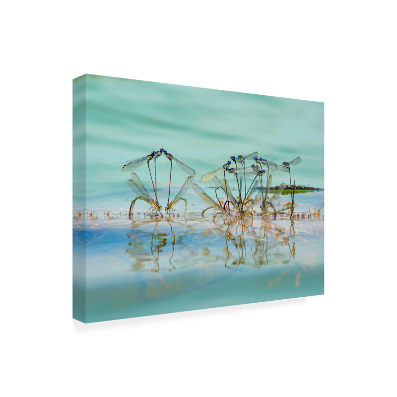 Art sur toile «bol», H 35 po x l 47 po