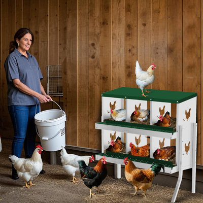 Chicken Egg Incubator
