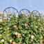 Treillis de jardin en métal noir de style paon 86,7 po x 19,7 po - paquet de 2 treillis en tube galvanisé antirouille pour plantes grimpantes