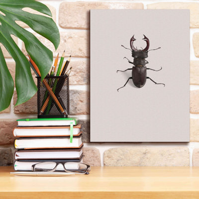 " Lucanus Cervus " by Incado