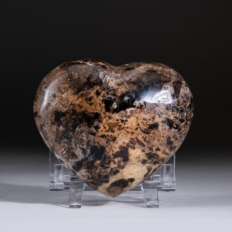 Polished Brown/Black Petrified Wood Heart From Madagascar (0.7716 Ibs)