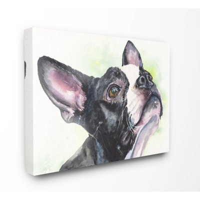 « boston terrier dog animal animal painting », reproduction d’art sur toile