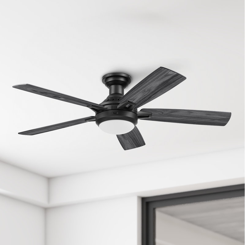 Ventilateur de plafond contemporain Radstock