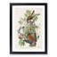 American Sparrow Hawks by John Audubon - Framed Print-55544590-55544593