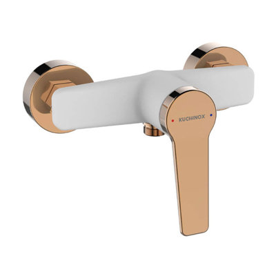 Alanis Single Exposed Shower Valve