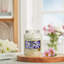 Jasmine Scented Jar Candle