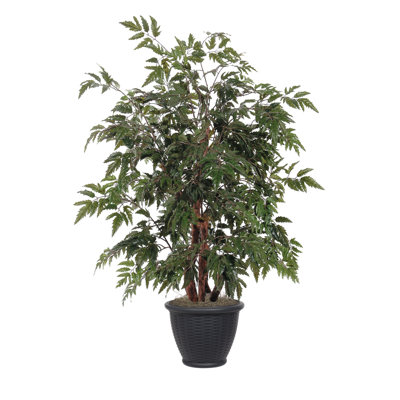 Artificial Ming Aralia Bush