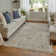 Alberdine Transitional Medallion Handmade Sand Rug