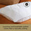 Sealy Dual Comfort Memory Foam Pillows 2 Pack